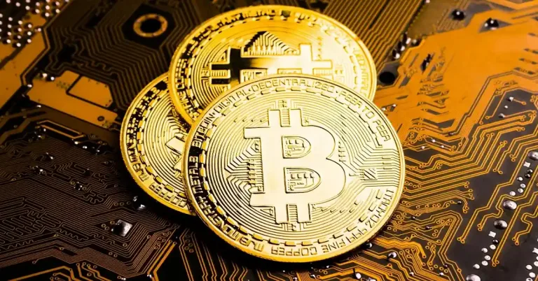 BCH/USD Market Overview for 19.04.2024