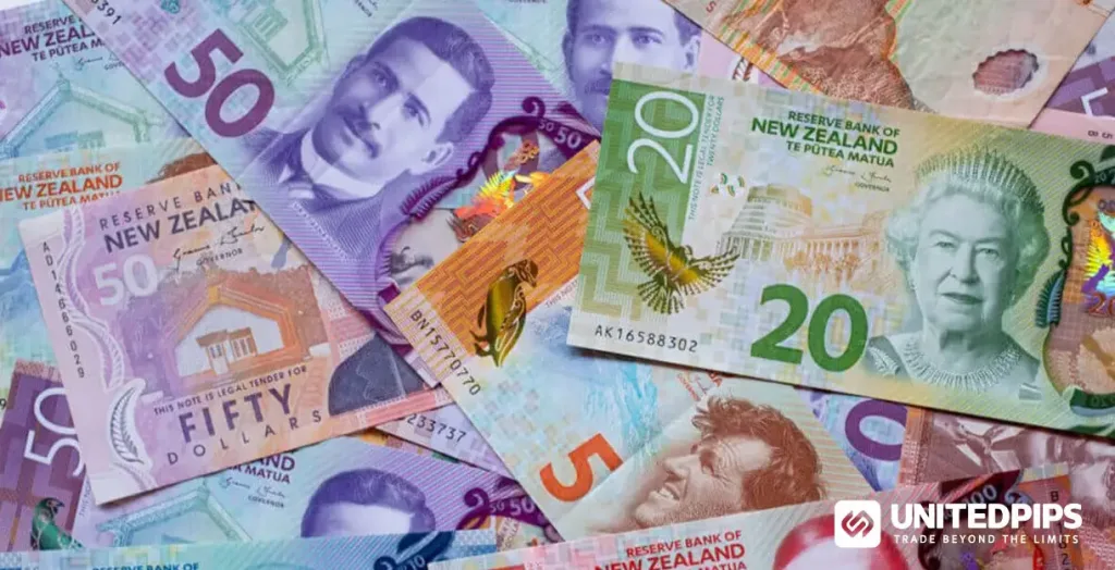 EURNZD_Daily_Chart_Technical_and_Fundamental_Outlook