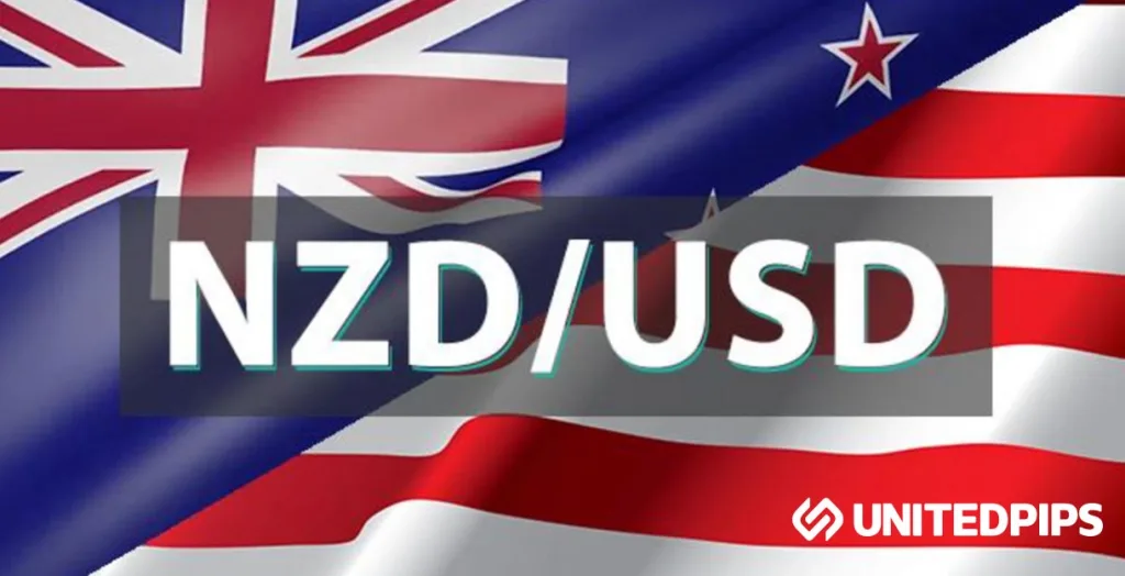 NZDUSD Daily Outlook Bearish Momentum Continues-F