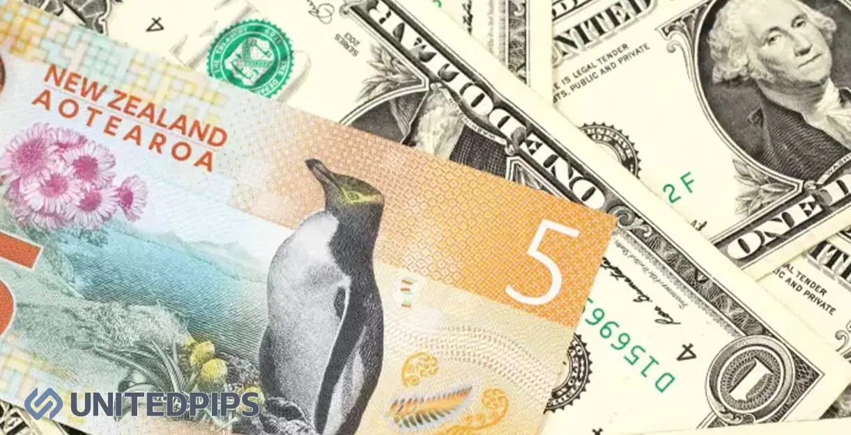 NZDUSD-Price-Action-Analysis-11.26.2025.